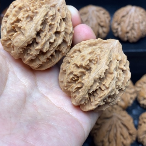 把件文玩核桃文玩3