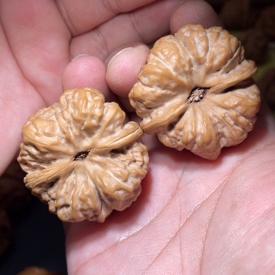 沾***头文玩核桃把件41延庆蛤蟆头