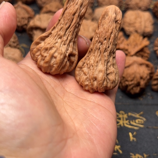 官帽鸭嘴异性有修