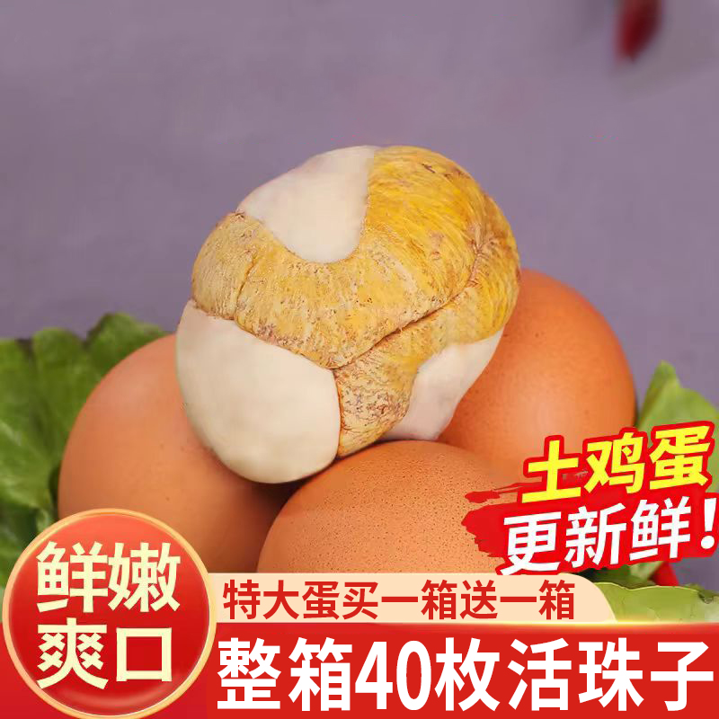 40枚新鲜13天活珠子鸡胚蛋开袋即食熟钢化毛蛋喜蛋毛鸡蛋香辣五香