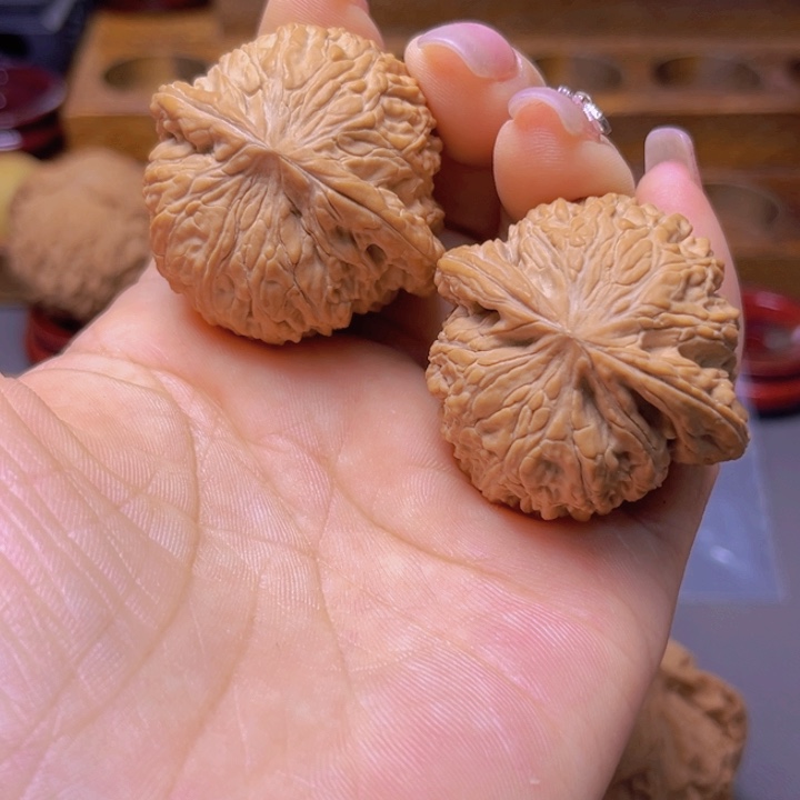 多*核桃专用链接，绣球全品