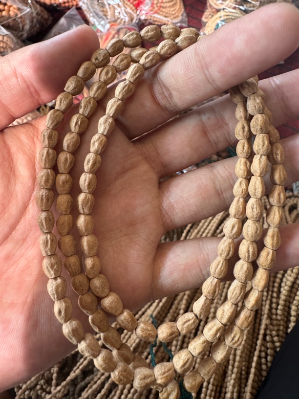 【D6929】高桩大长腿热振柏香籽藏区 6mm 左右高密高油长串