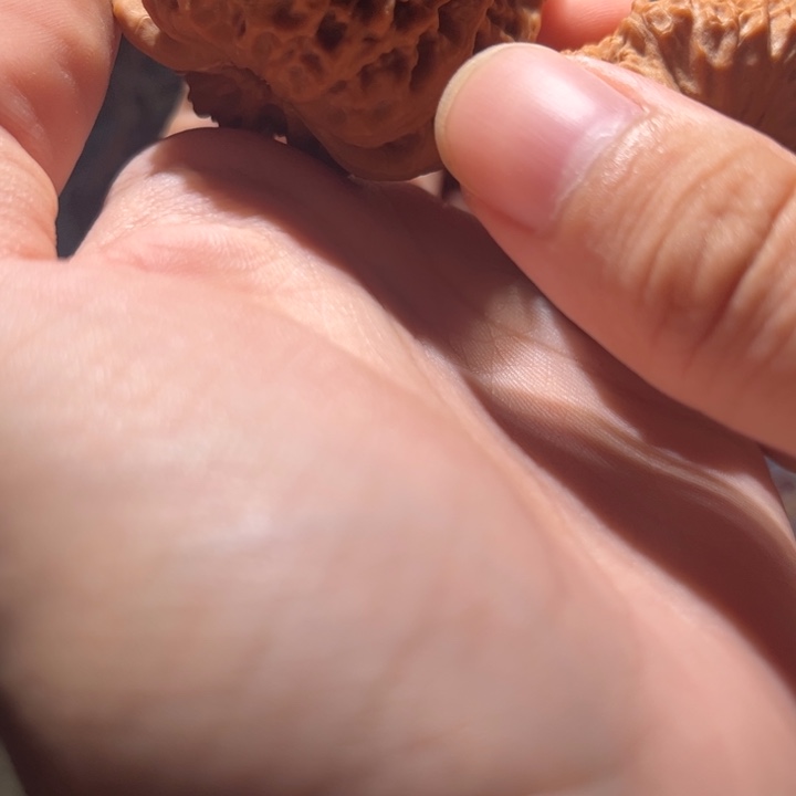 桃核吊坠核桃a041