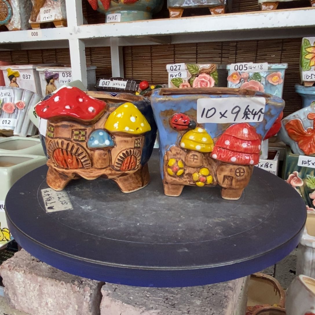【闪购商品】       