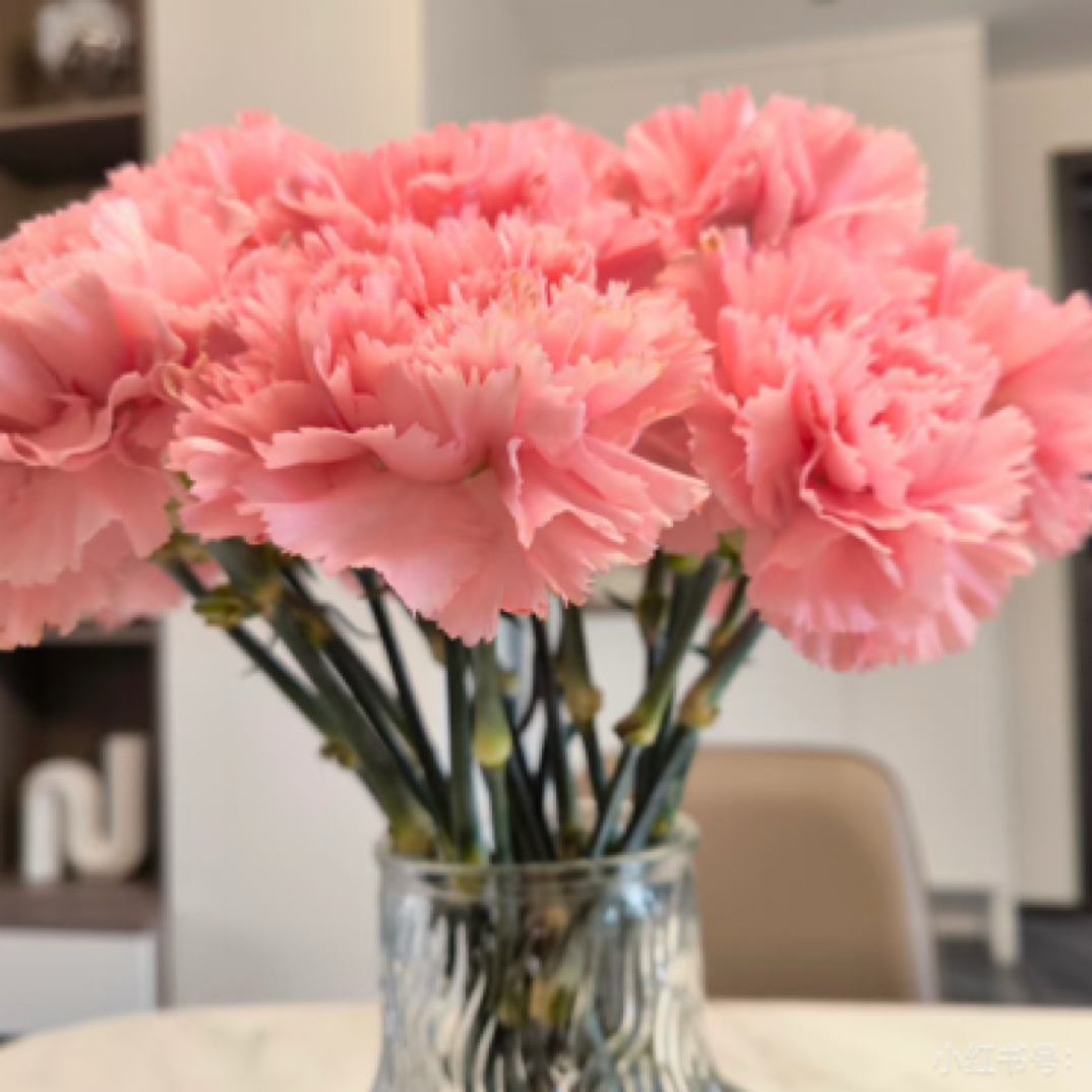 云南精选多色康乃馨（一扎20支）