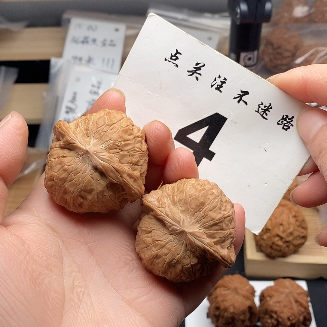 核桃44+南瓜墩。          