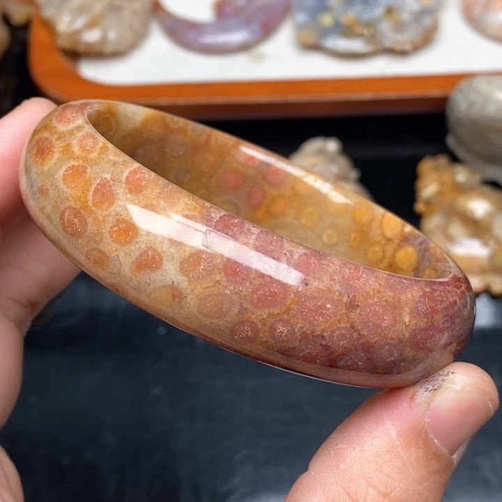 硅化珊瑚（珊瑚玉）颈饰未镶嵌58.7