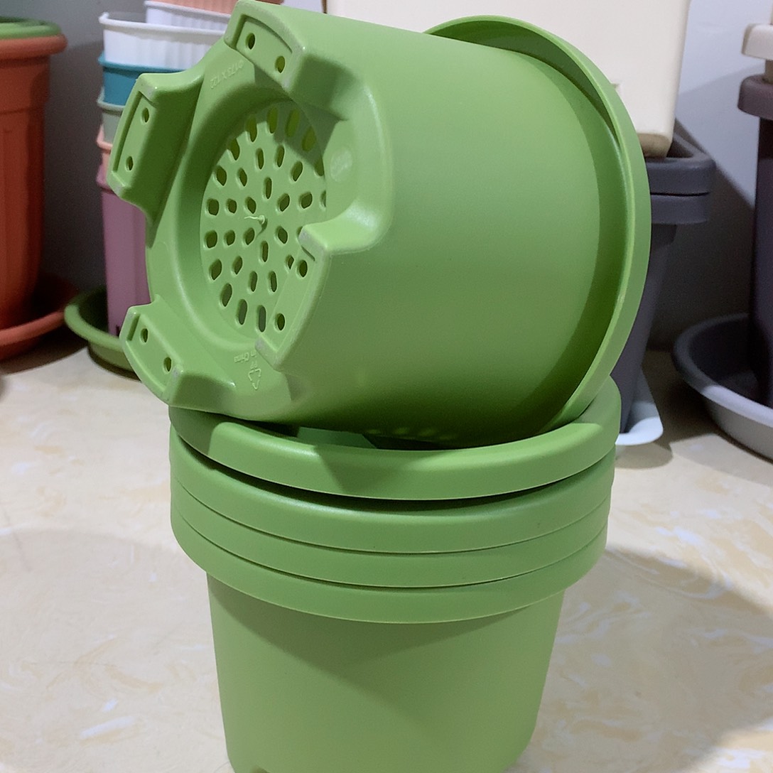 树脂球根口17果绿5个无托