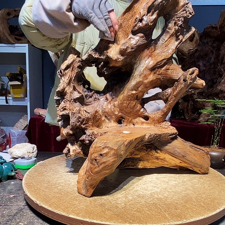 无***来756株木的随行的根艺