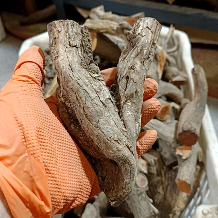 秋***归香榧木火琉璃疙瘩毛料毛料毛料