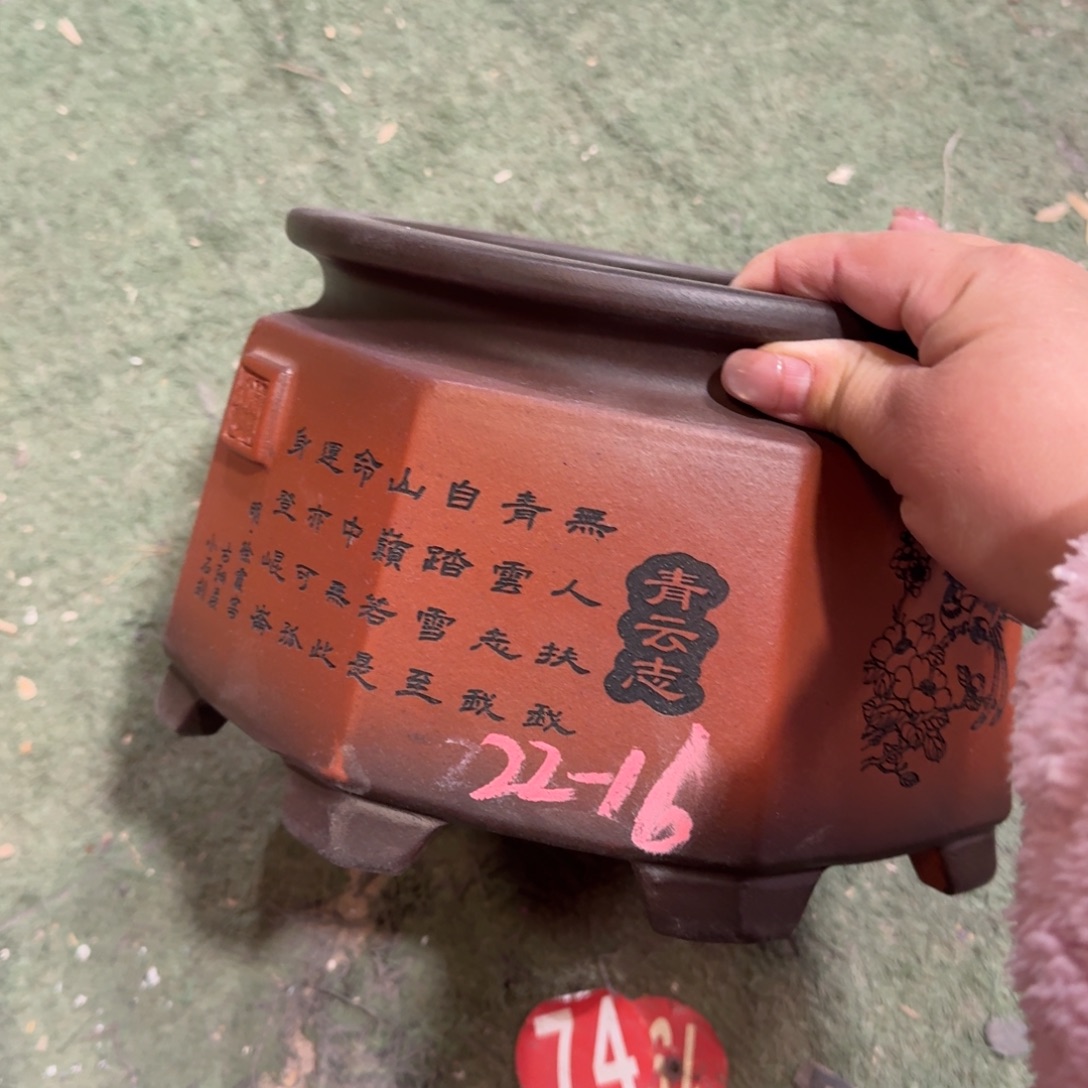 紫砂花盆紫砂花盆