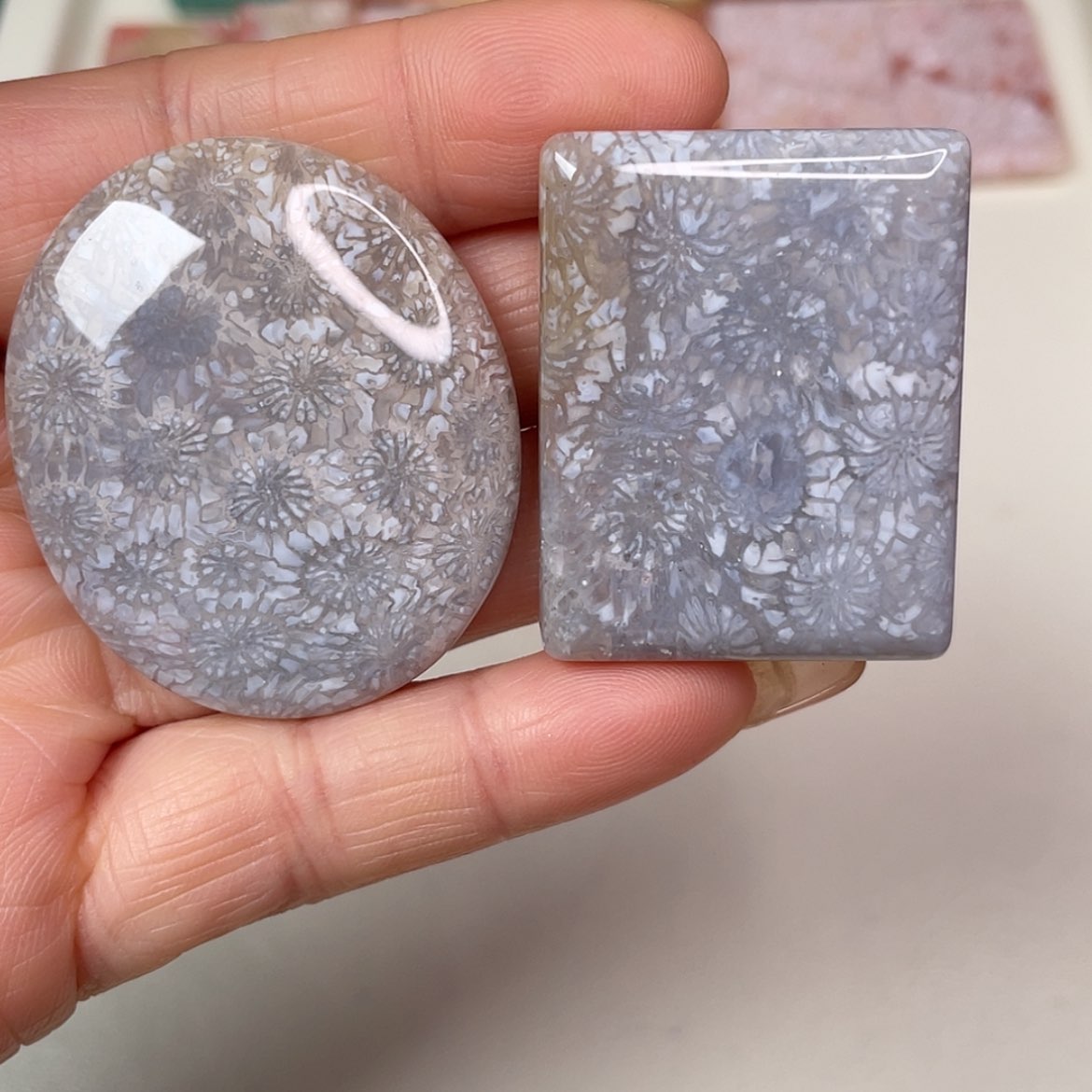 【闪购商品】未镶嵌吊坠(赠链)硅化玉