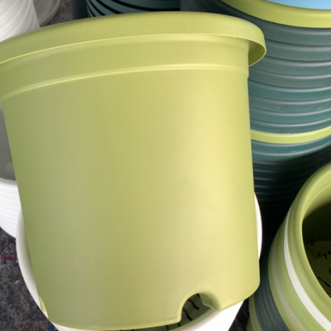 树脂5加果绿无托3个