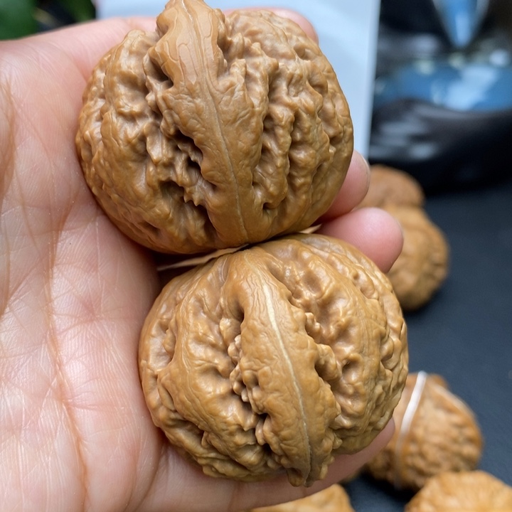 文玩核桃吊坠霸王龙40尺