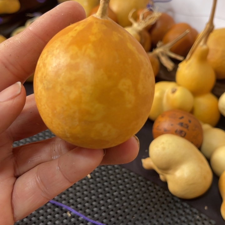 一***顺葫芦葫哈哈哈哈哈哈