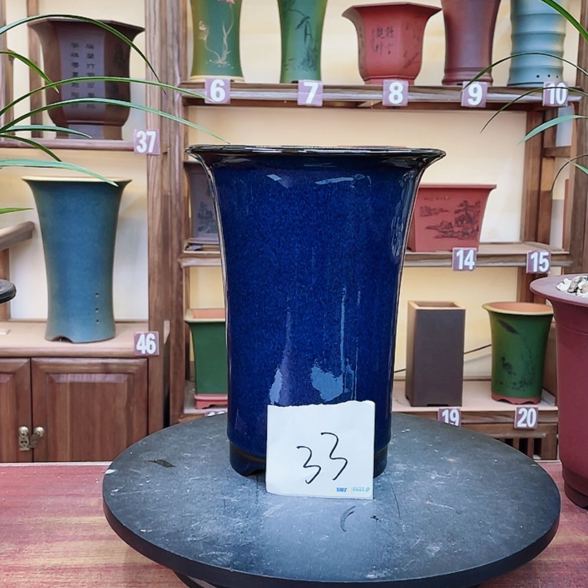 【闪购商品】紫砂花盆黑**香兰花45888556688558888