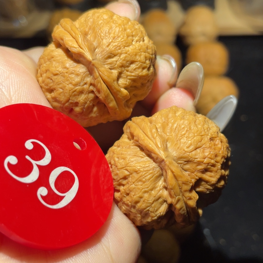 小狮子35尺寸核桃