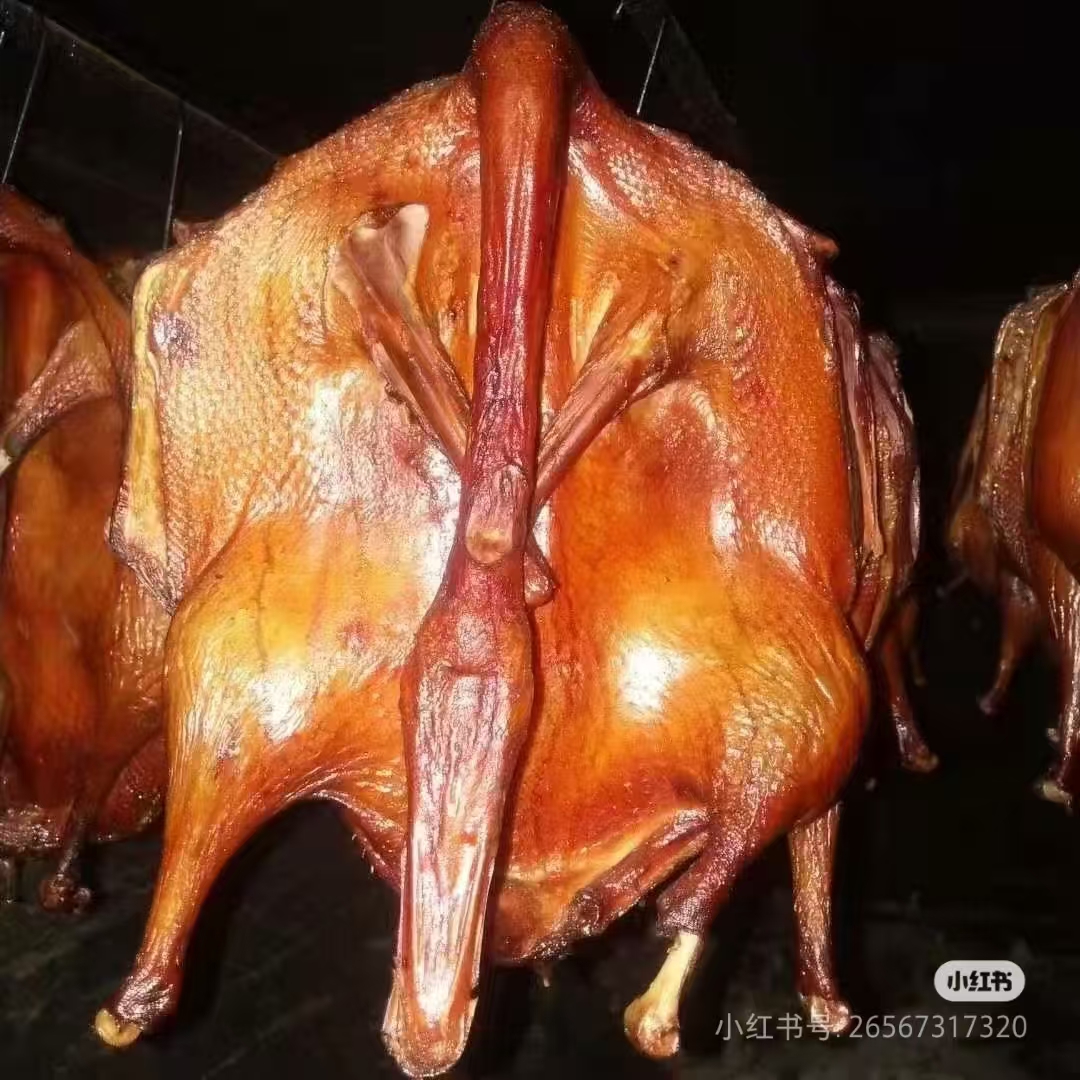 荣昌香板鹅  荣昌特产 农场自己养殖 散养大白鹅