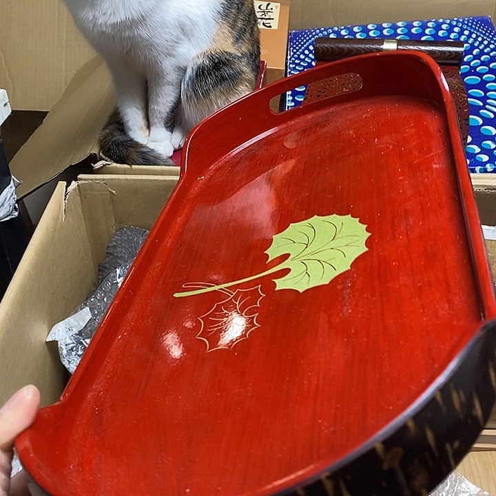 瓷片Y88 雅舍甄选优质大漂亮