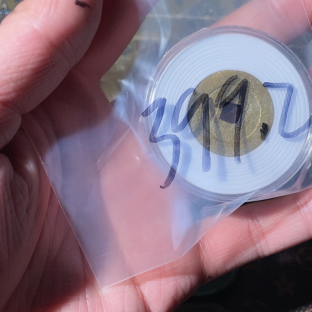 铜泰昌通宝「悟泉」