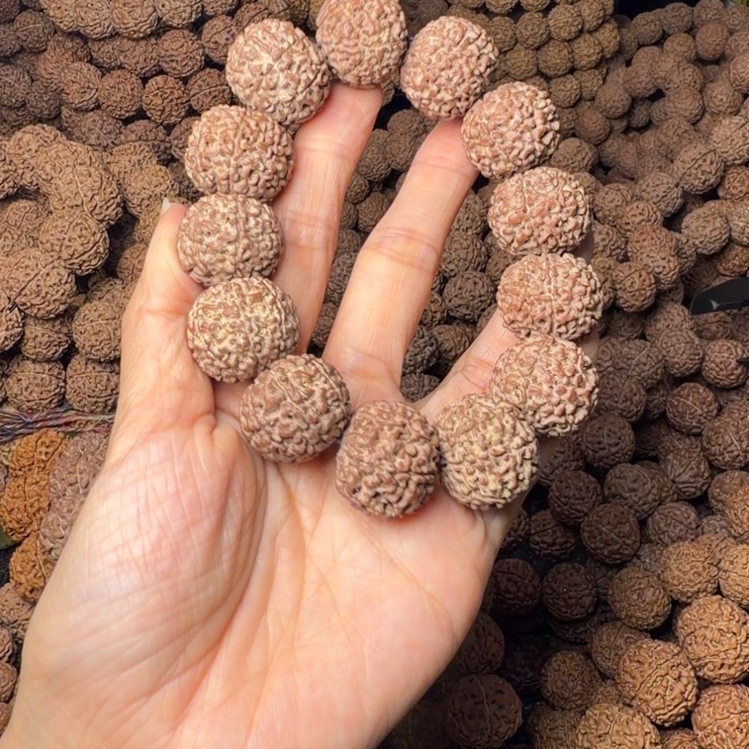 手串金刚菩提8瓣卡23尺，38号