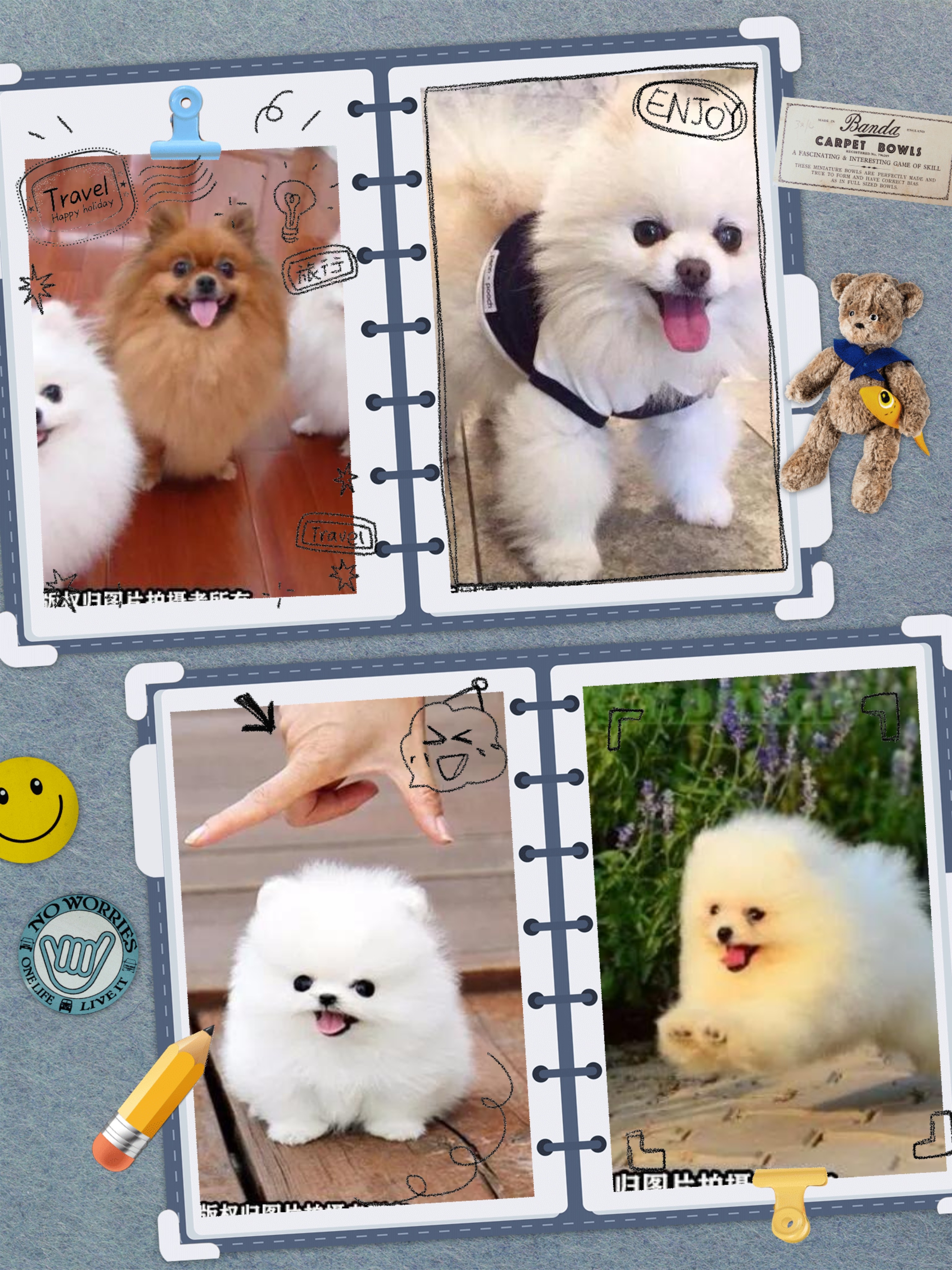 标本宠物通用链接