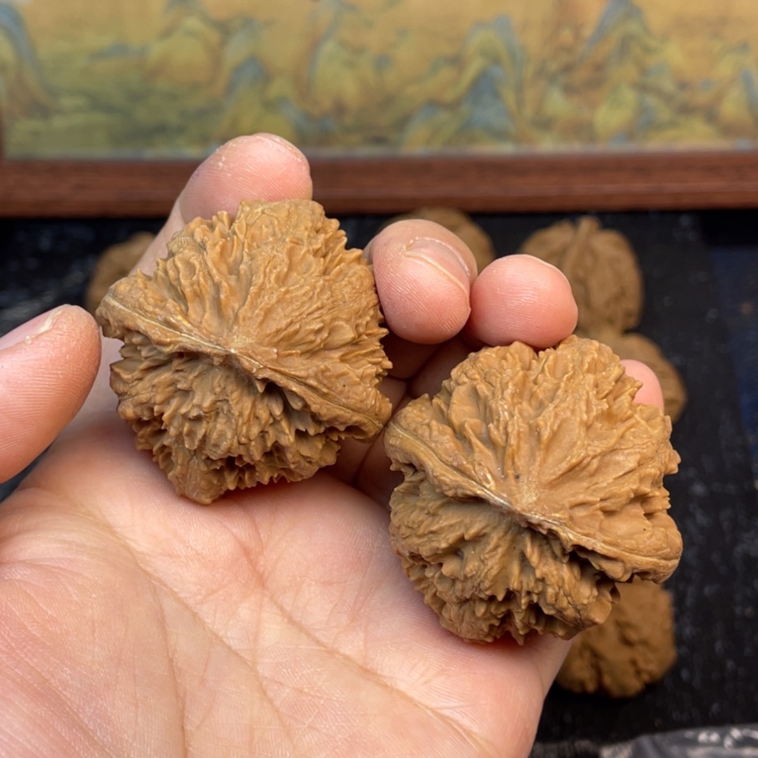 核桃1号链接 不退不换