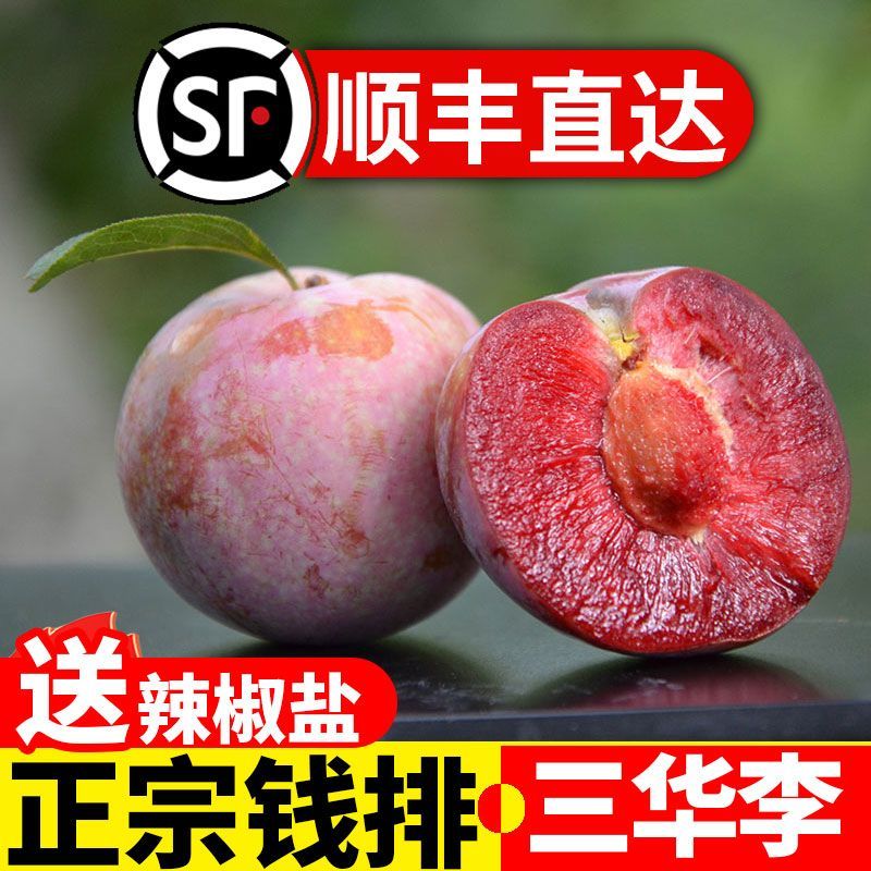 【顺丰次日达】广东茂名钱排三华李子红心李精挑细选一级果广东省