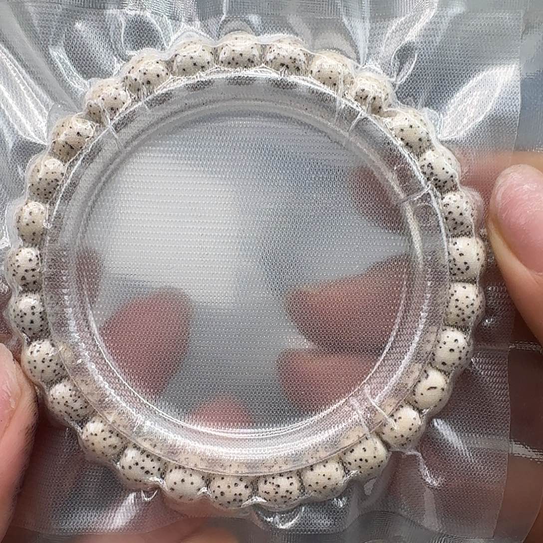 星月菩提手串261傲世白星月菩提河豚87桶单圈