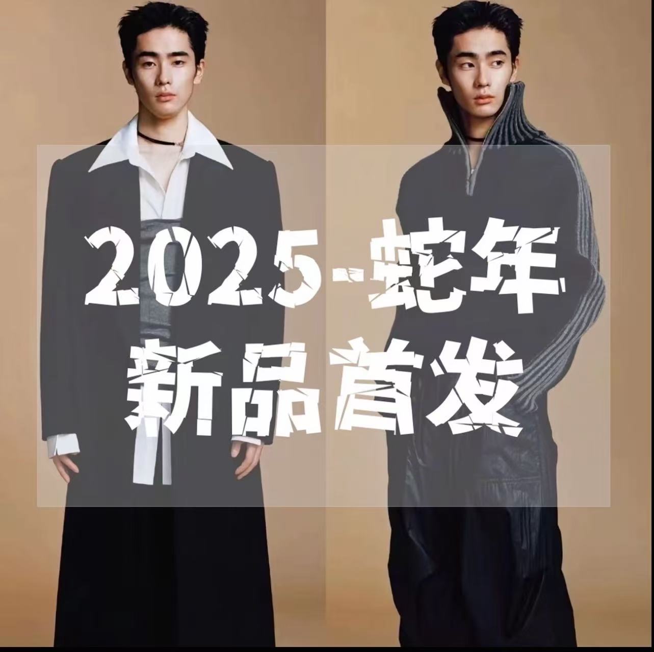 【羽绒】1951-秋冬季新款五防高奢白鸭羽绒马甲【小芳专属】雄