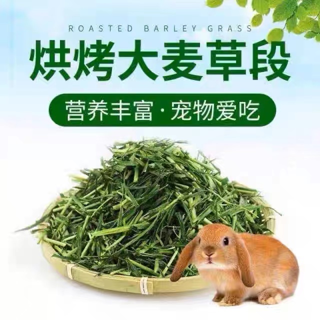 大麦草段烘干大麦草兔兔干草金丝熊龙猫干草烘干大麦草