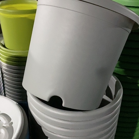 树脂微瑕4#无托灰白8个