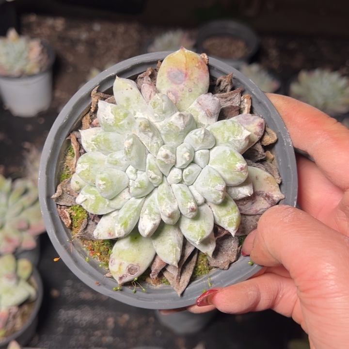 240哈哈哈哈哈哈哈哈