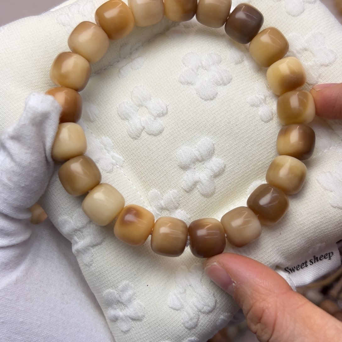 吊坠菩提根/象牙果13干磨215