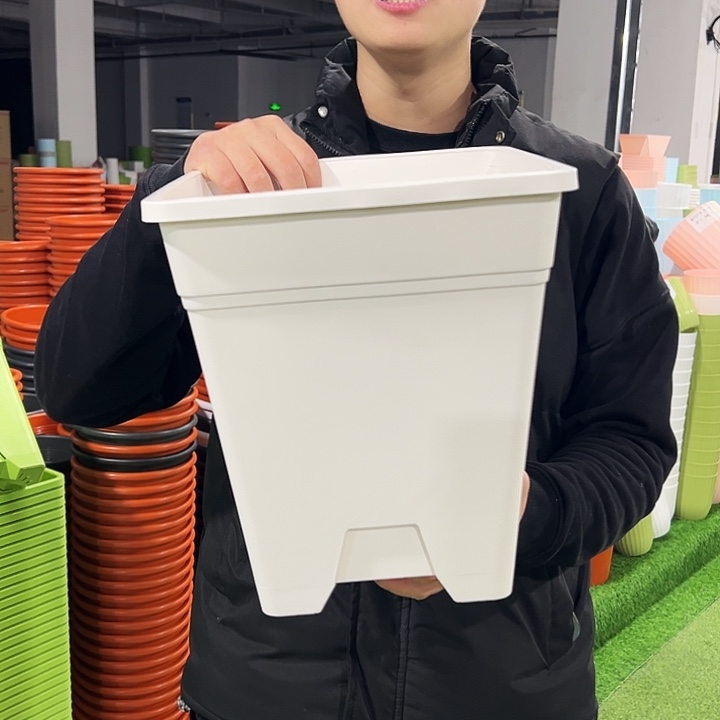 正品方盆口26高29.5白色3只无托