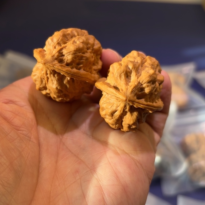 文玩核桃吊坠霸王龙脊