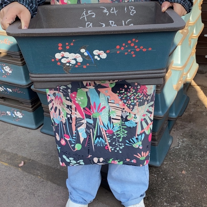 花盆紫砂自己家里人民