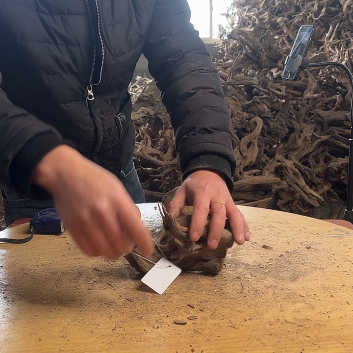 飘***海木鱼缸造景根雕艺术127