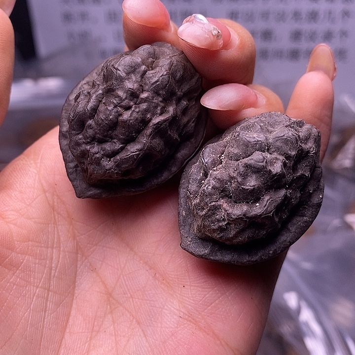 核桃云南野生铁核桃64号37mm