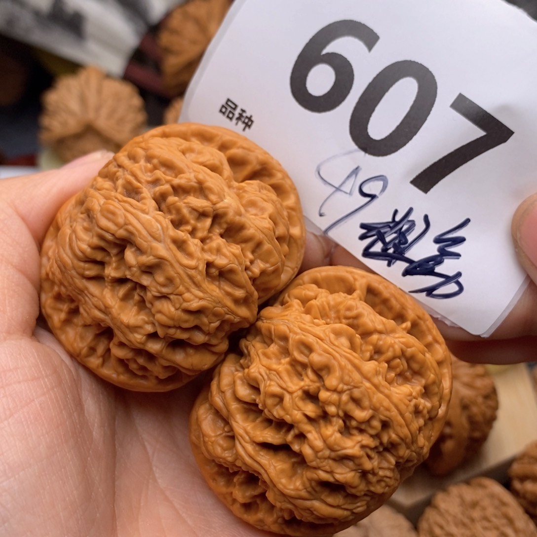 文玩核桃吊坠607号49粗筋