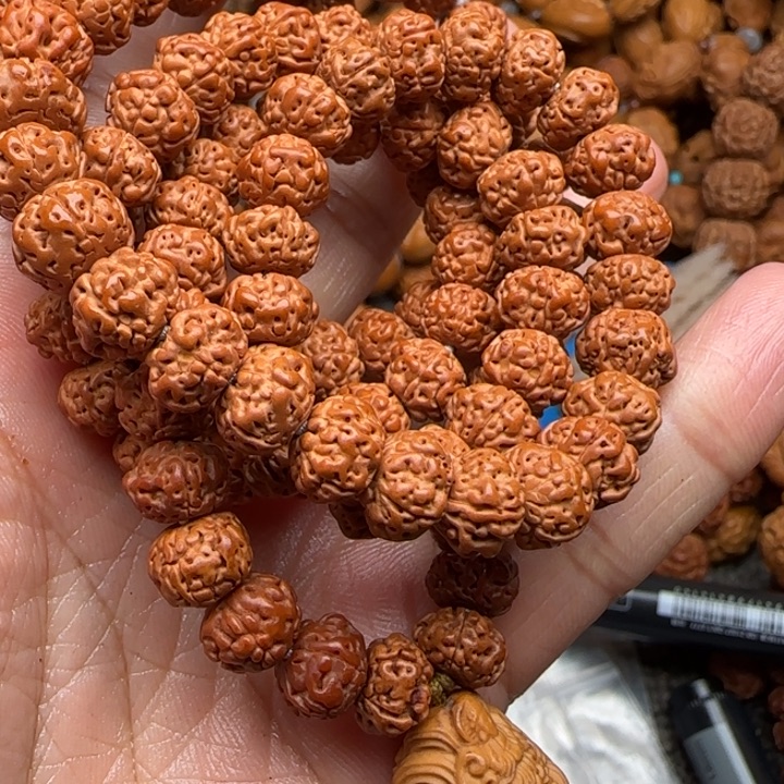 橄榄核吊坠橄榄菜等经济作物