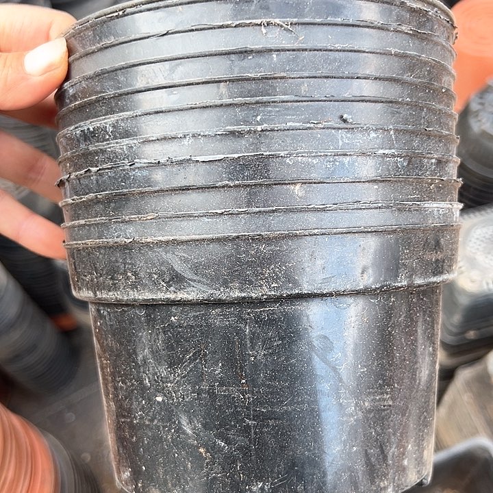 塑料口径15 高度9 黑矮胖一组45个