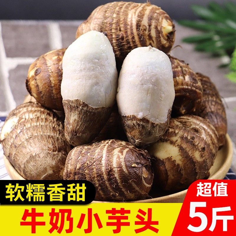 新鲜应季牛奶小芋头香甜软糯农家自种产地直发