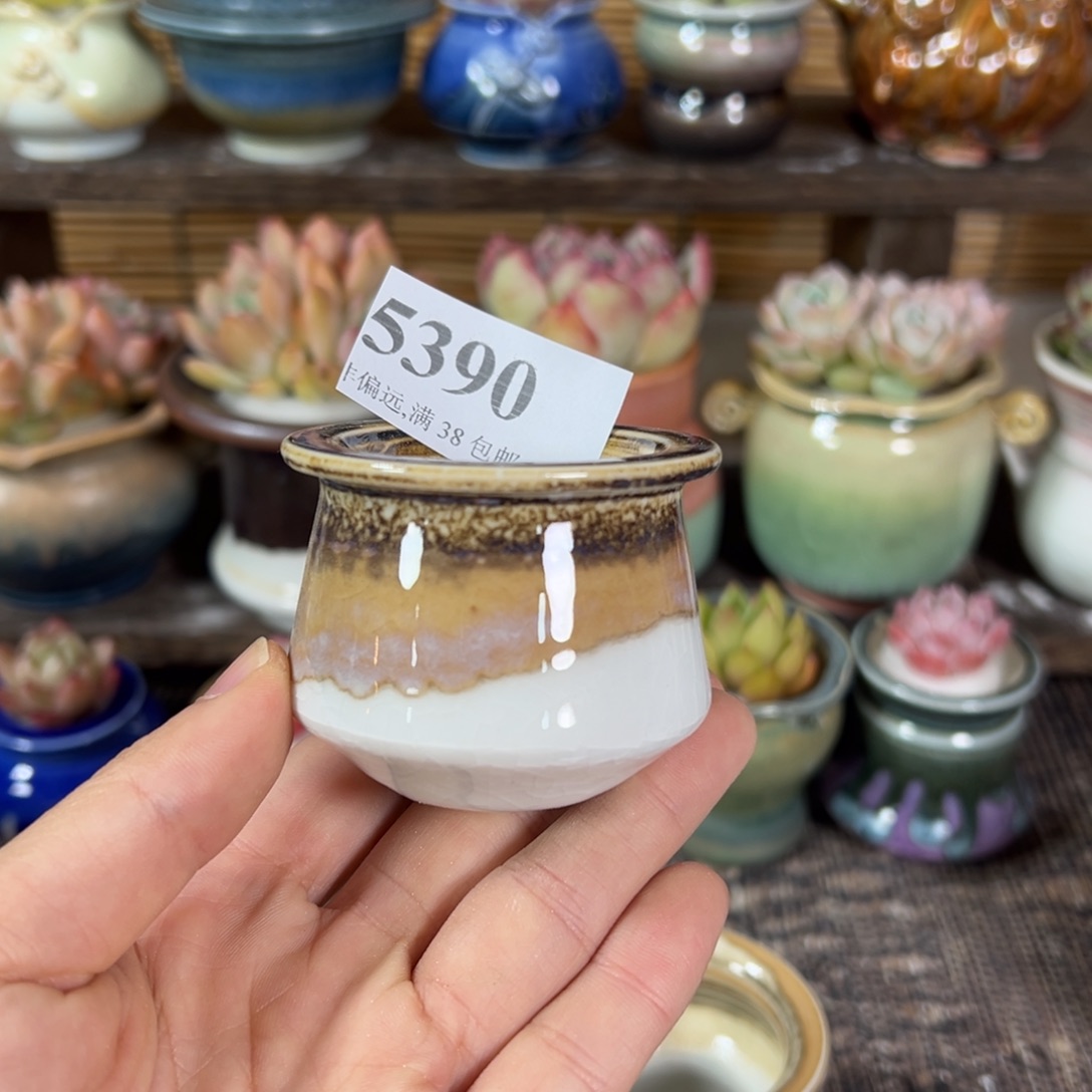 红陶景德镇陶瓷……