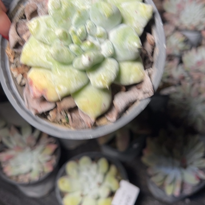 005哈哈哈哈哈哈哈哈