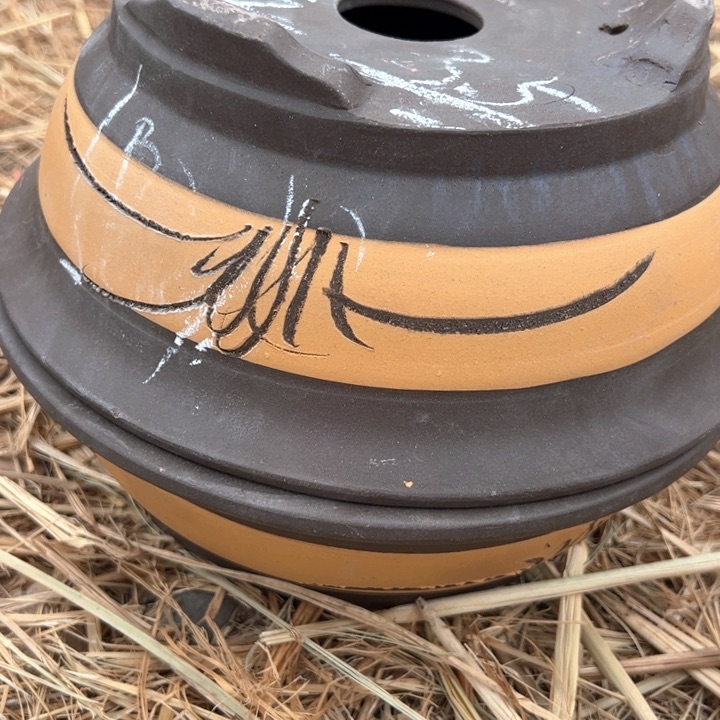 红陶紫砂碗盆口25