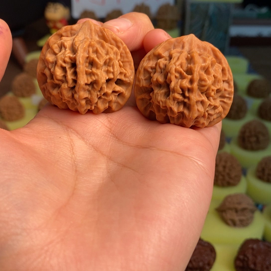 核桃秦岭大花38尺寸