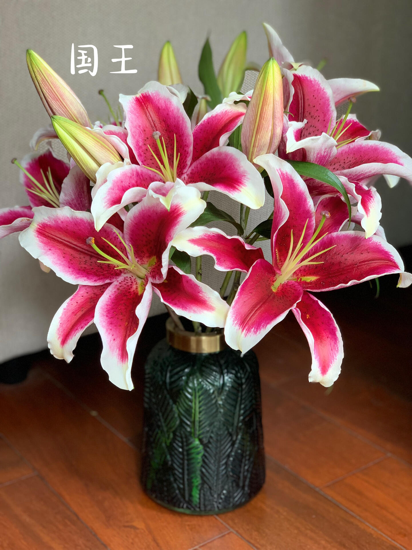 新品 国王百合一头  粉红百合  云南基地鲜花直发   家养水养