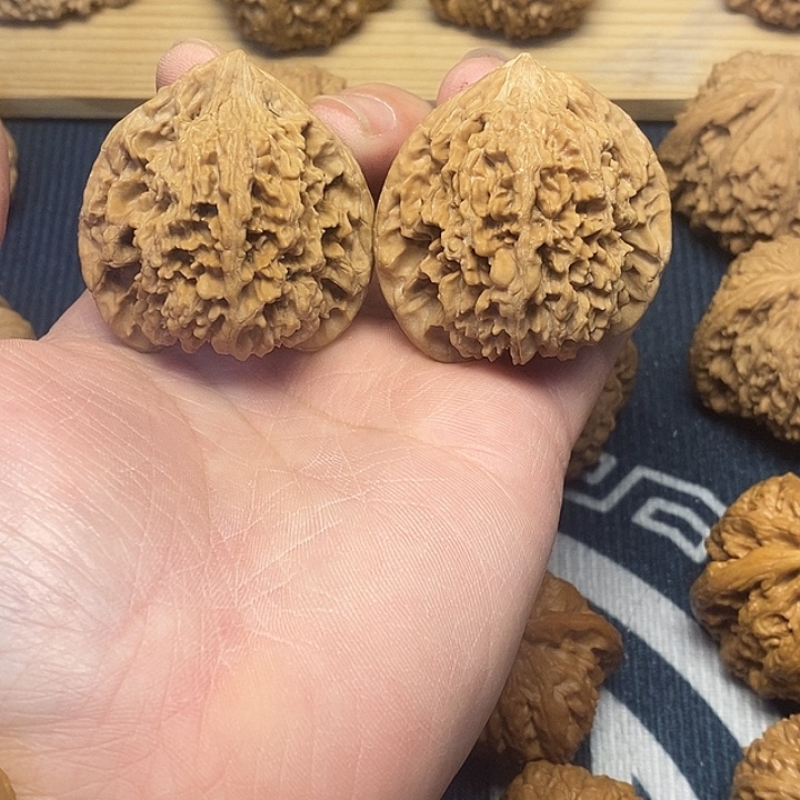 核桃44全品满天星福利