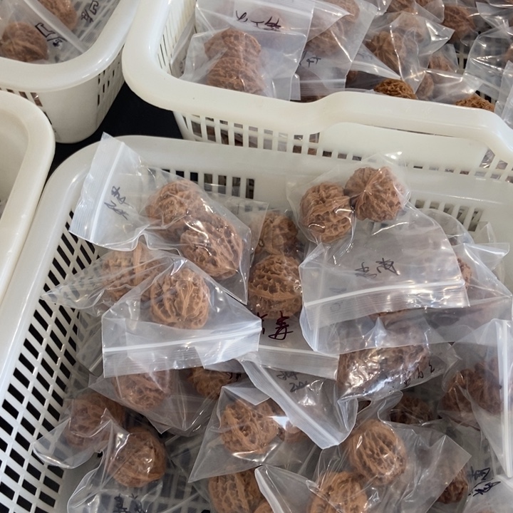 吊坠文玩核桃苹果园微瑕